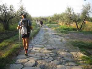 Basolato Romano tra Montefiascone e Viterbo